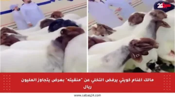 مالك أغنام كويتي يرفض التخلي عن “منقيته” بعرض يتجاوز المليون ريال